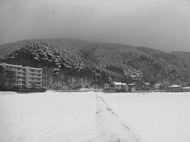 わたしのイスラームへの道