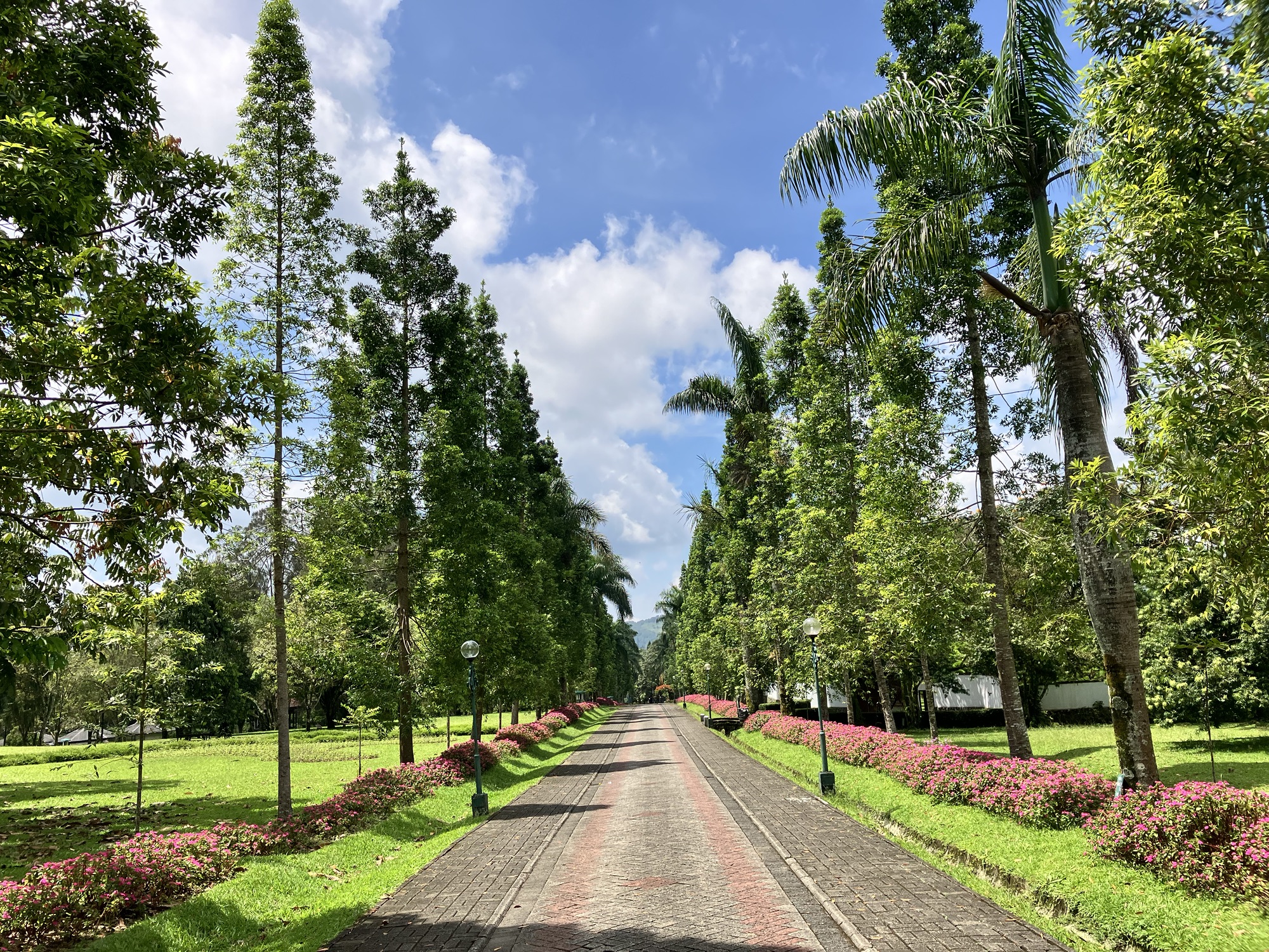 Taman Bunga Nusantaraの道